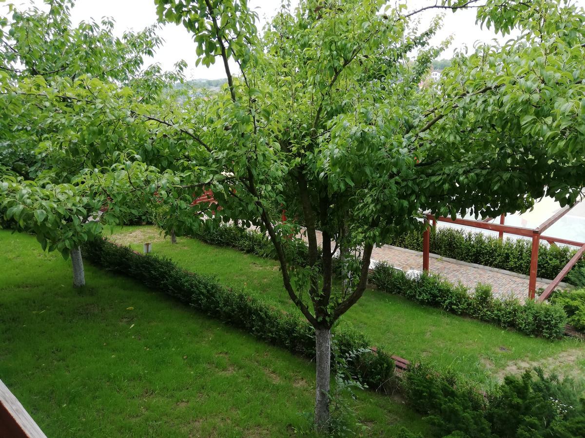 Grace Villa Codru Екстер'єр фото