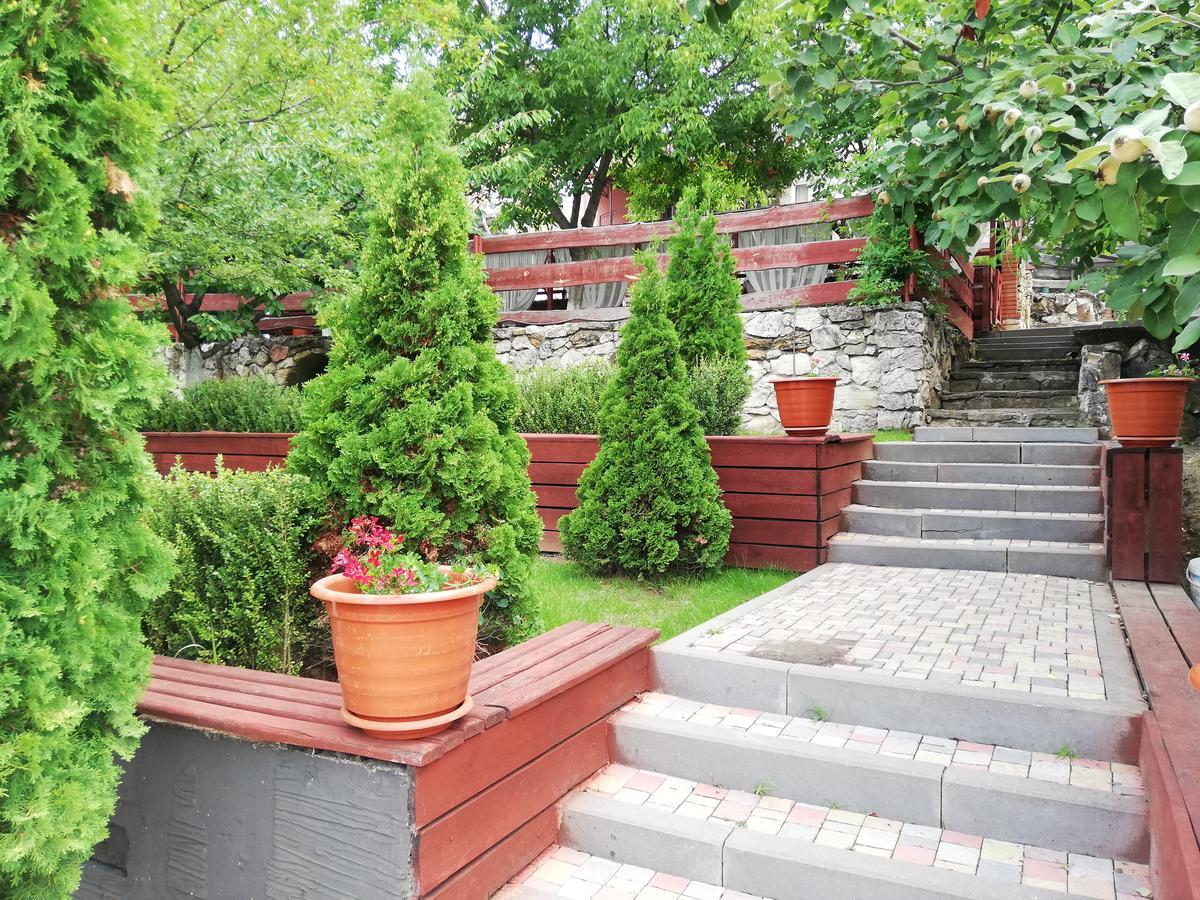 Grace Villa Codru Екстер'єр фото
